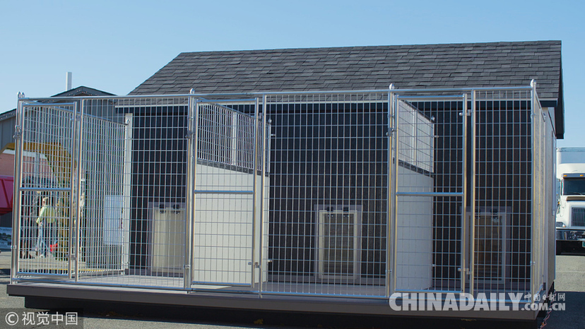 世界最大斗牛犬搬新家 待遇豪華狗舍價(jià)值16.5萬元