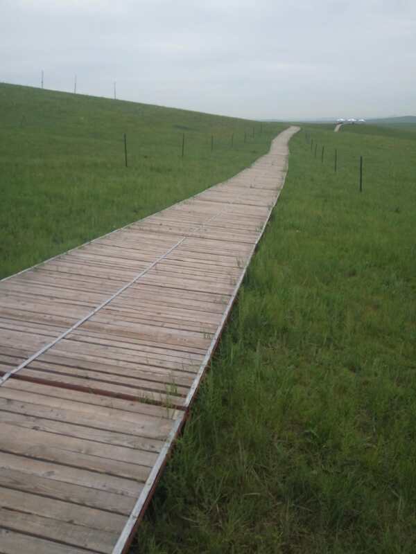 將環保進行到底！九曲彎建最原生態草原