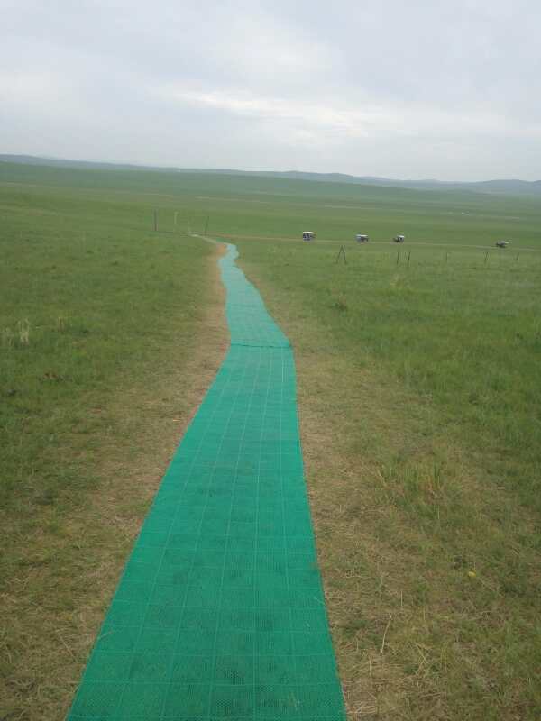 將環保進行到底！九曲彎建最原生態草原