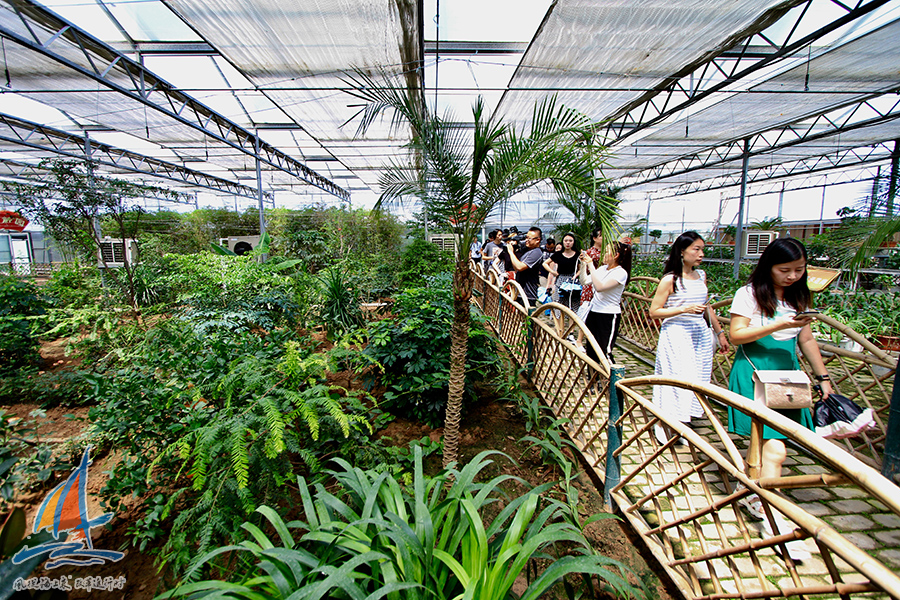 【風從海上來·改革進行時】鄉村火了產業熱了 全國網媒探訪方興日盛“新濟南”