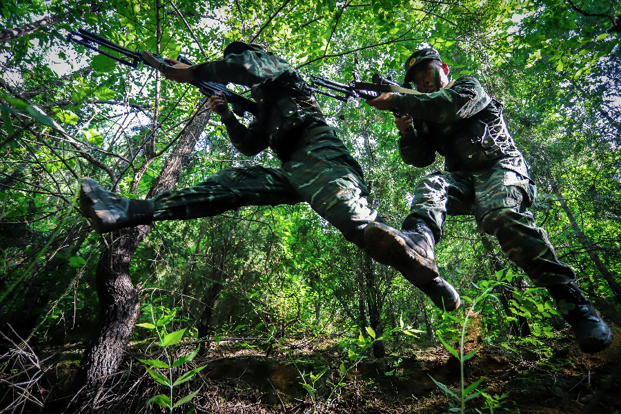 王牌出手！他們是戰場上的“狩獵者”