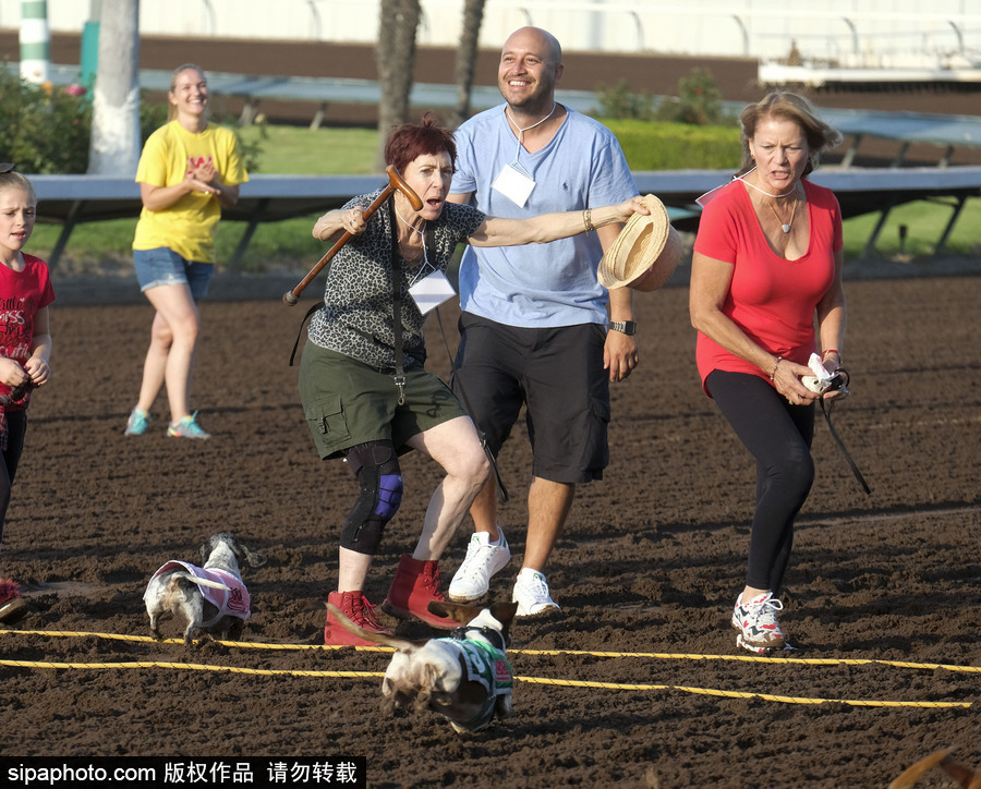 另類速度與激情！第23屆美國年度賽狗大會開幕