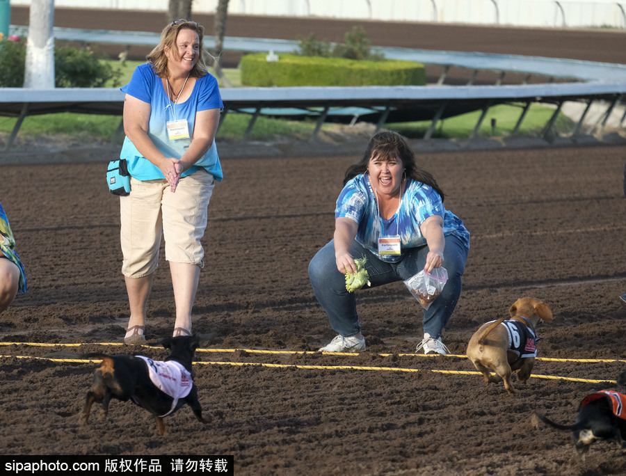 另類速度與激情！第23屆美國年度賽狗大會開幕