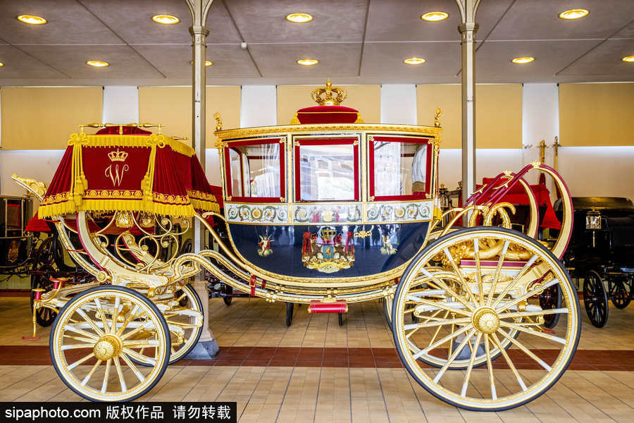 荷蘭海牙皇家宮殿對(duì)公眾開放 富麗堂皇皇家范兒十足
