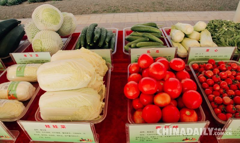 昔日苦甲地 今日“中國（西部）冷涼蔬菜之鄉”