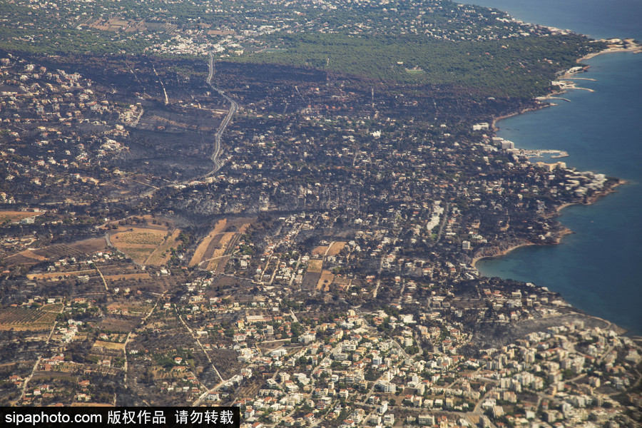 希臘山火過后的大地 一片黑色焦土