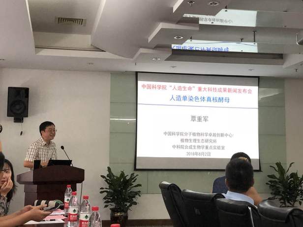 國(guó)際首例人造單染色體真核細(xì)胞創(chuàng)建成功 中國(guó)實(shí)現(xiàn)合成生物學(xué)里程碑式突破