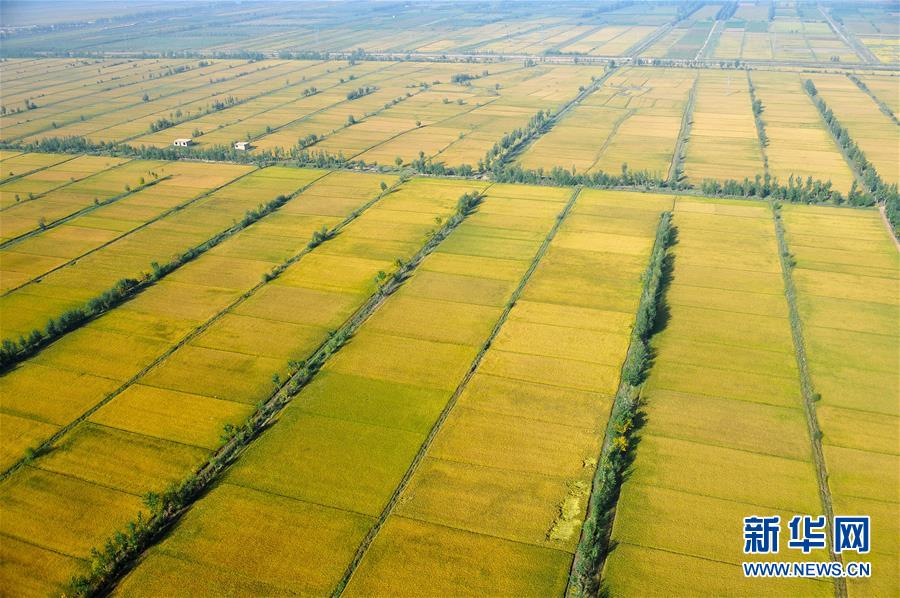 “好生態也能當飯吃”——解碼寧夏吳忠市的“綠色發展賬本”