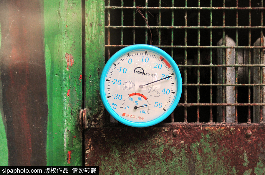 北京動物園開啟防暑模式 小動物們應對高溫有“奇招”