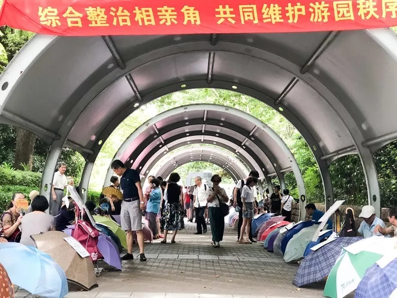 外媒說：為什么現在年輕人不著急結婚？美媒：因為更多女性經濟獨立