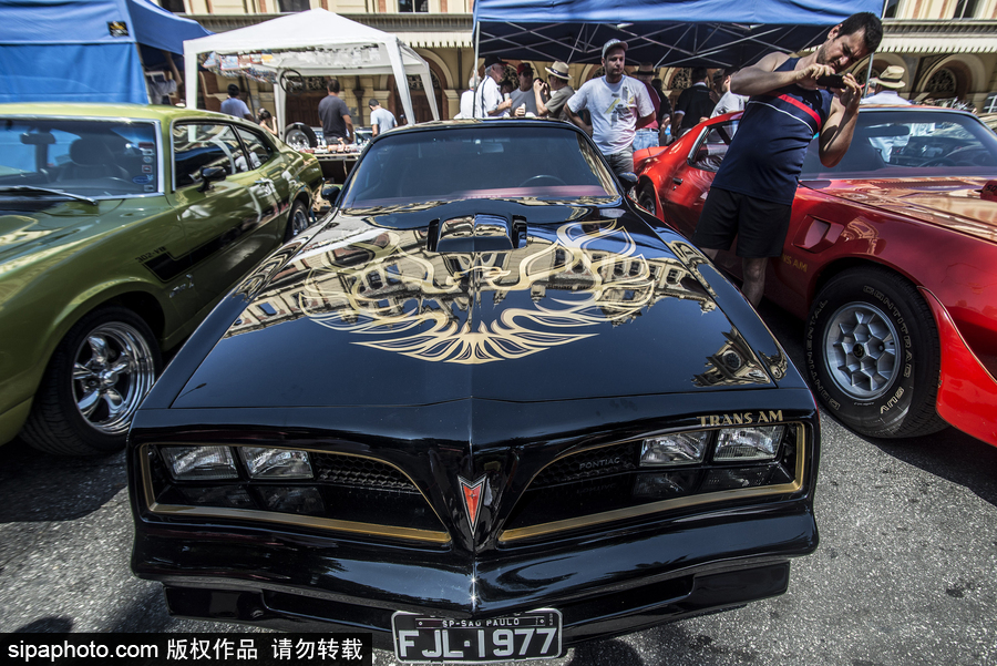 愛車人士大飽眼福！超百輛古董汽車在巴西圣保羅集會展出