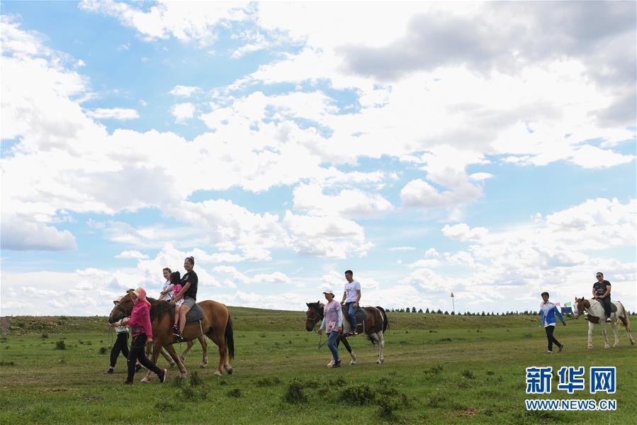 塞外鄉村的綠之變