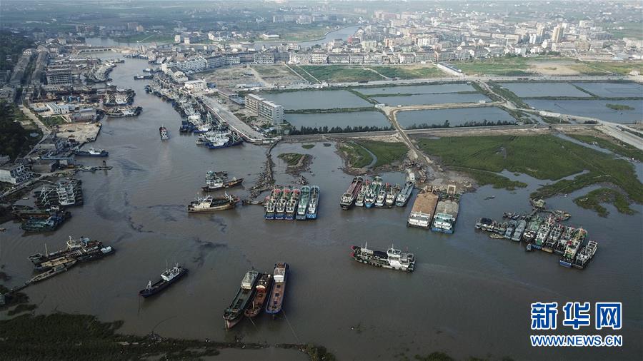 臺風來襲 船只歸港