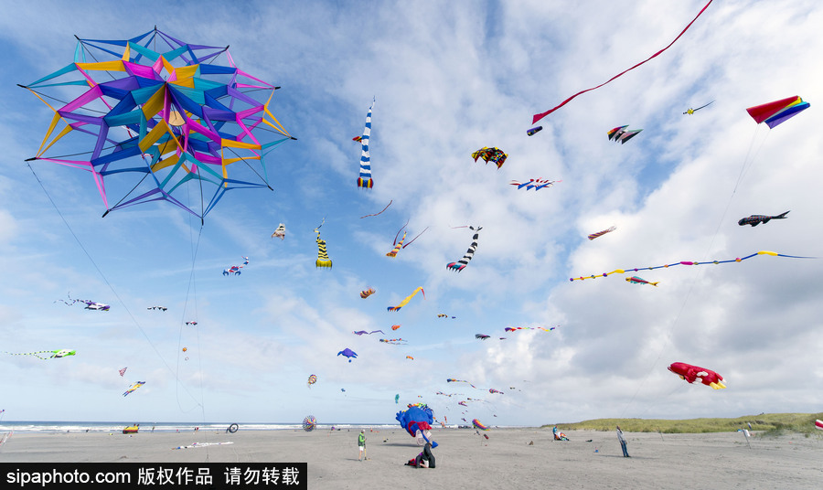 造型夸張可愛場面壯觀 美國華盛頓州國際風箏節如約而至