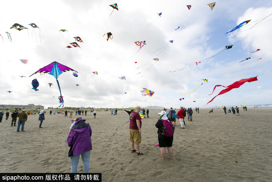 造型夸張可愛場面壯觀 美國華盛頓州國際風(fēng)箏節(jié)如約而至