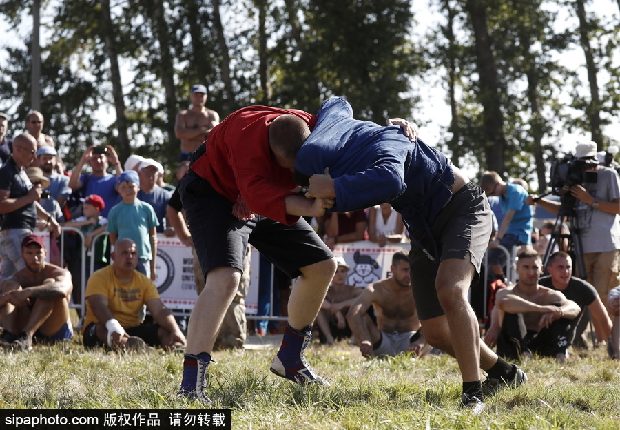 來自“戰(zhàn)斗民族”的力量比拼！俄羅斯坦波夫地區(qū)傳統(tǒng)體育比賽現(xiàn)場十分火熱