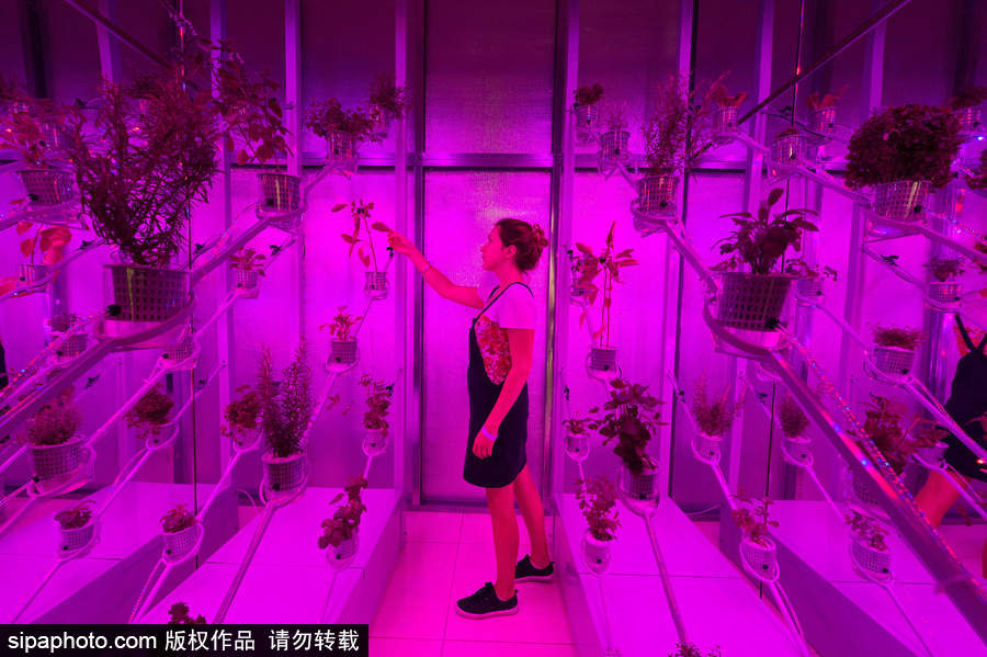 探尋設計對生活的影響 英國倫敦薩默塞特設計雙年展涌現大批優秀作品