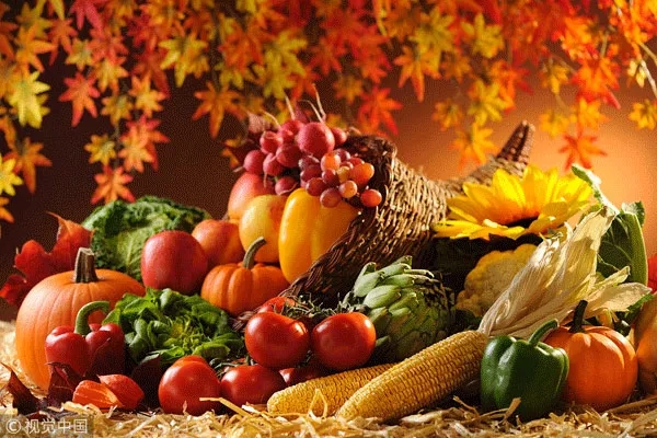 秋天好干燥，怎么吃才好？這份養生攻略請收好