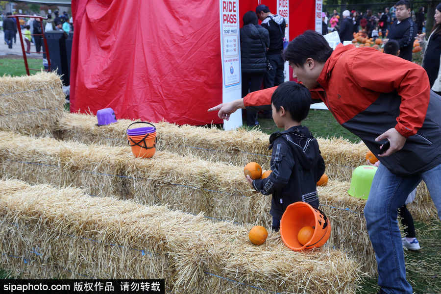 加拿大安大略省：男女老少齊出動！數百人參加南瓜節慶祝活動
