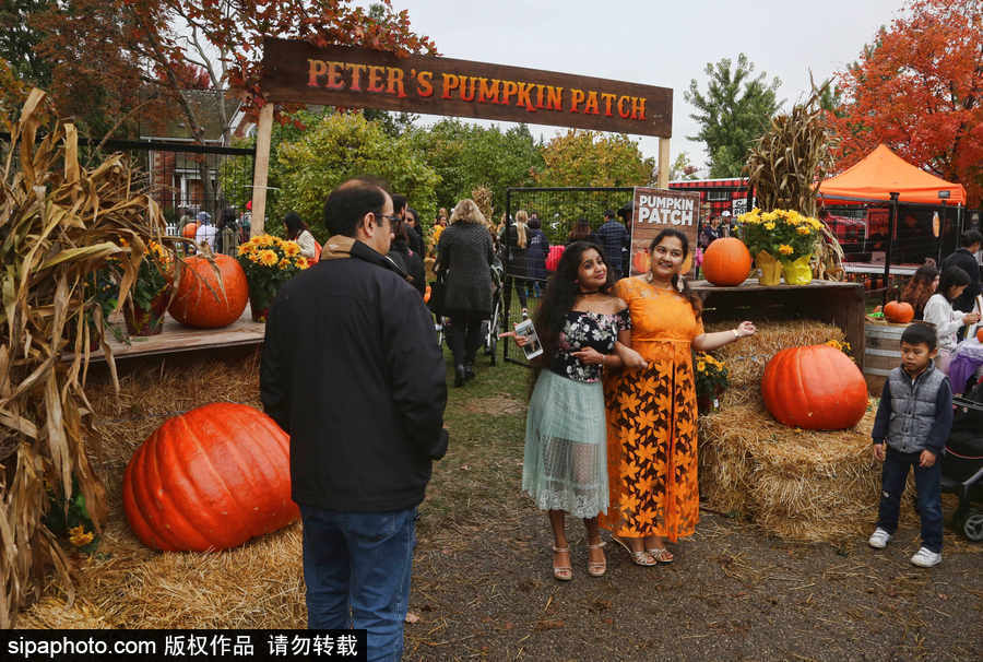 加拿大安大略?。耗信仙冽R出動！數百人參加南瓜節慶?；顒?/></p>

<p>當地時間2018年10月7日，加拿大安大略省，安大略省列治文山南瓜節。南瓜節在感恩節周末舉行，數百人參加了此次慶祝活動。</p>
</div>

<div width=