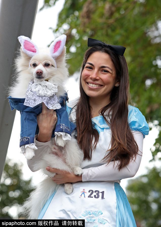 美國紐約：狗狗變身coser！第28屆湯普金斯廣場萬圣節狗狗游行萌翻全場