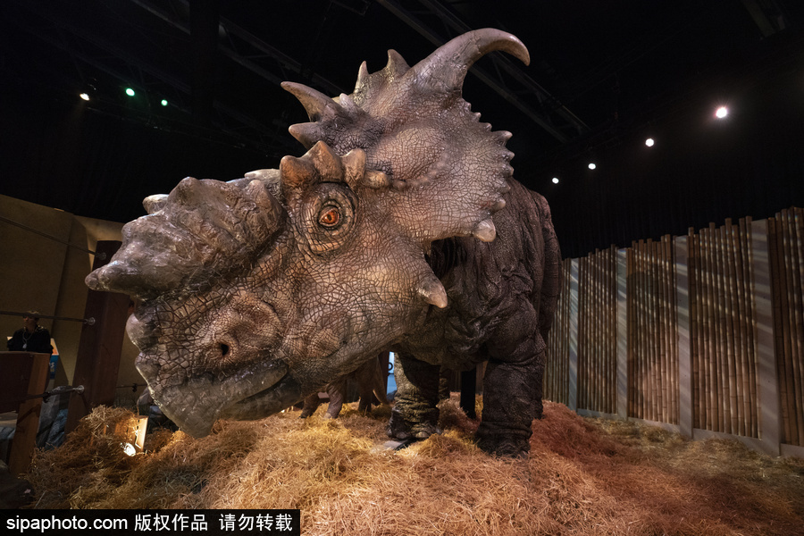 西班牙：身臨其境！《侏羅紀世界：墮落的王國》展覽在馬德里舉行