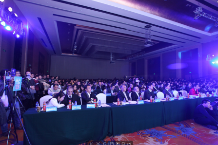 【聚焦華表獎】之名人觀點 苗樂如:房地產仍是十三五期間支柱產業