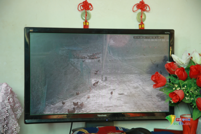 【網(wǎng)絡(luò)媒體走轉(zhuǎn)改】甘肅會(huì)寧:盼望小康路上再會(huì)師 老區(qū)人民致富有新招