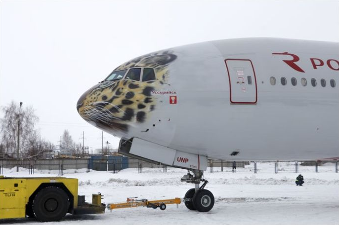 俄推出“阿穆爾豹”彩繪涂裝飛機