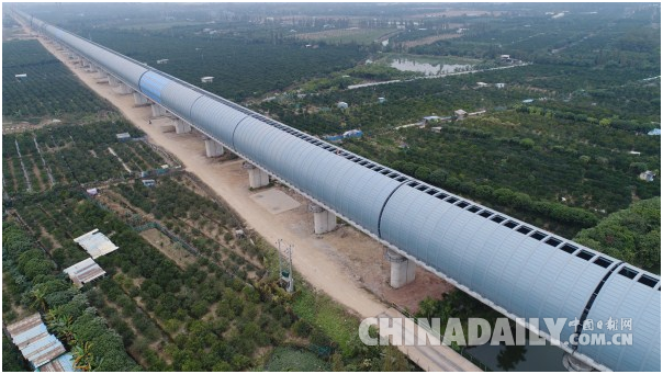 高鐵建全封閉屏障 護(hù)“小鳥天堂”歲月靜好