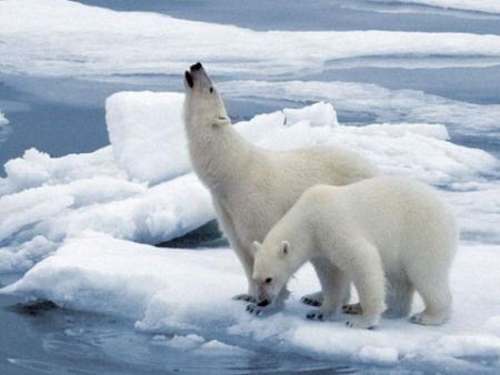 懶人包:關于巴黎氣候大會,這里有你想知道的一切
