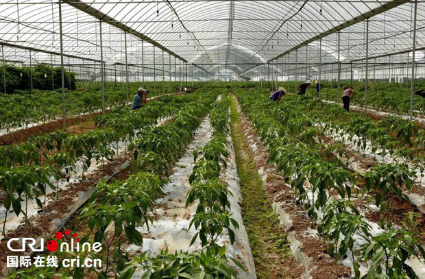 【網絡媒體走轉改】在興國感受蘇區振興和扶貧攻堅(圖)