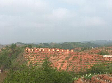 【網絡媒體走轉改】習近平扶貧思想在贛南開花結果