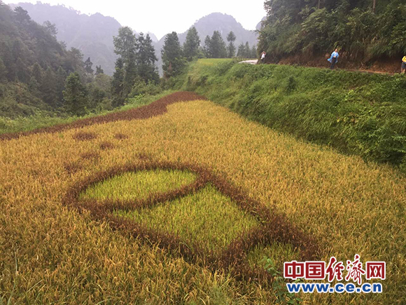 【網絡媒體走轉改】十八洞村的特色精準扶貧路