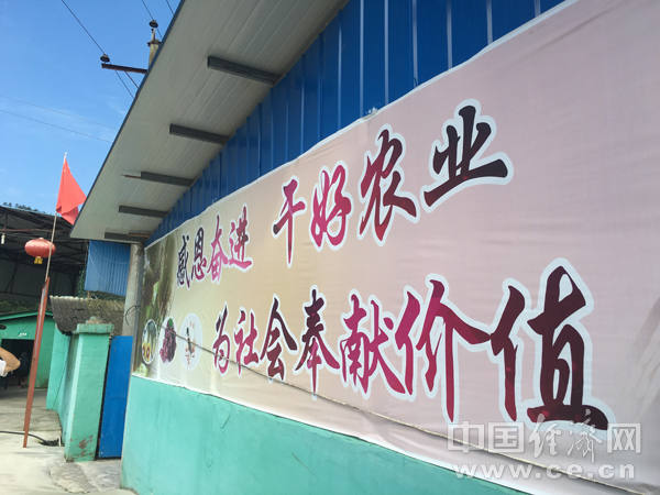 【網絡媒體“走轉改”】蘆山紅星村：精準扶貧“不破樓蘭終不還”