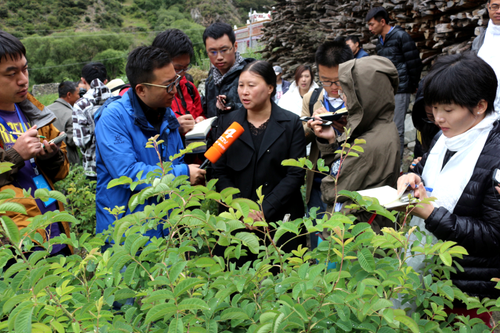 【網絡媒體“走轉改”】四川小金縣：風雨彩虹長征路 鏗鏘玫瑰助扶貧
