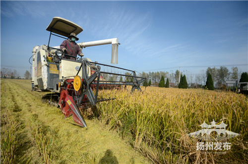 【領航新征程】農民笑開顏:“土地延包讓我們吃上定心丸”