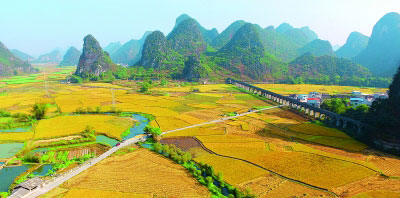 讓黨的十九大精神在基層落地生根
