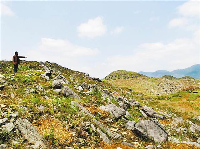 【領(lǐng)航新征程】重慶市南川石漠化治理 向“土地癌癥”說(shuō)不