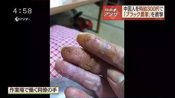 3000多名中國實習生在日本詭異