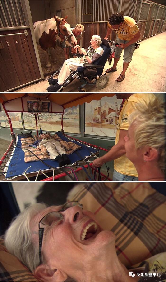 這是他們最后的愿望 也許你會哭