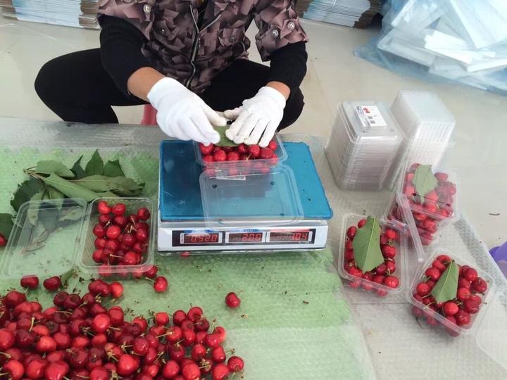 汶川地震震后十年:90后親歷者靠賣山貨月入30萬