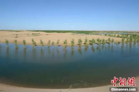【聚焦】中國(guó)第七大沙漠治理:引黃河凌水“沙漠變綠洲”