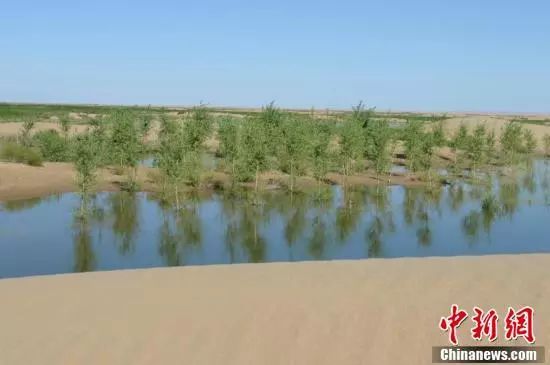 【聚焦】中國(guó)第七大沙漠治理:引黃河凌水“沙漠變綠洲”